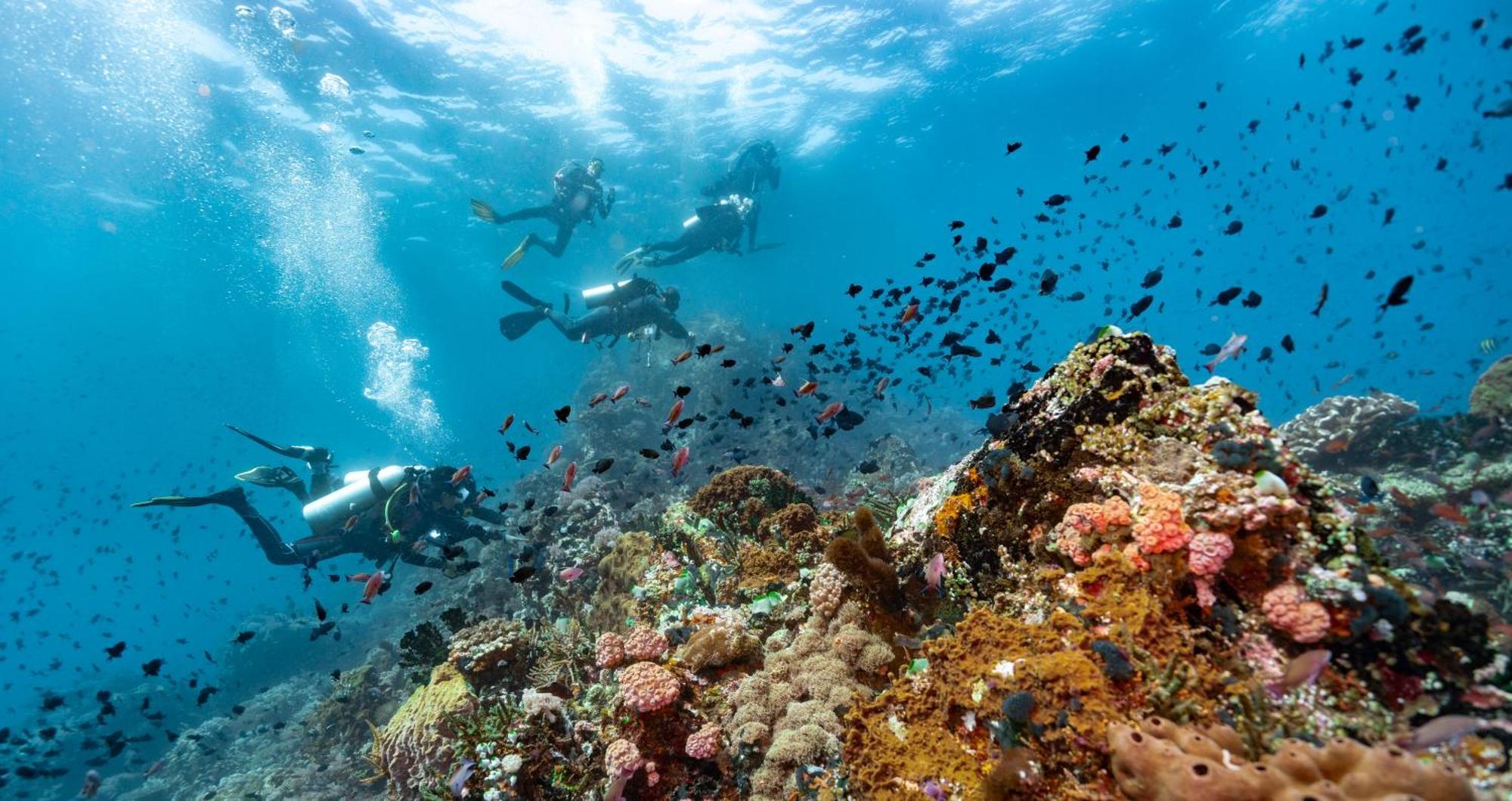 Casalay Boutique Villas & Dive Puerto Galera Εξωτερικό φωτογραφία